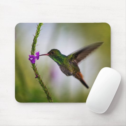ハチドリ マウスパッド (マウス)
