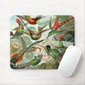 ハチドリ マウスパッド (マウス)