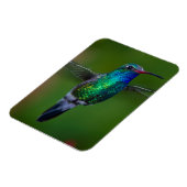 ハチドリ マグネット (左側)