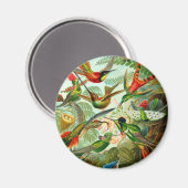 ハチドリ マグネット (正面/裏面)