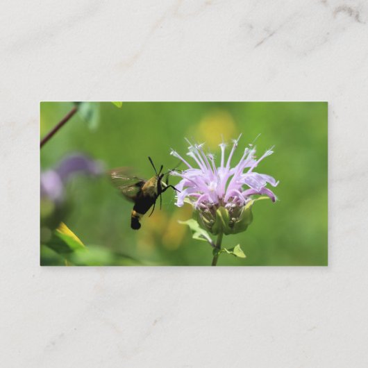 ハチドリ 名刺 (裏面)