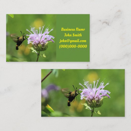 ハチドリ 名刺 (正面/裏面)