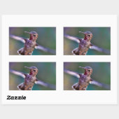 ハチドリ 長方形シール (シート)