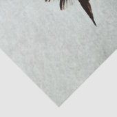 ハチドリ(i) 薄葉紙 (詳細)