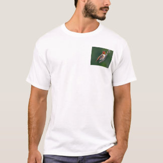 ハチドリ Tシャツ