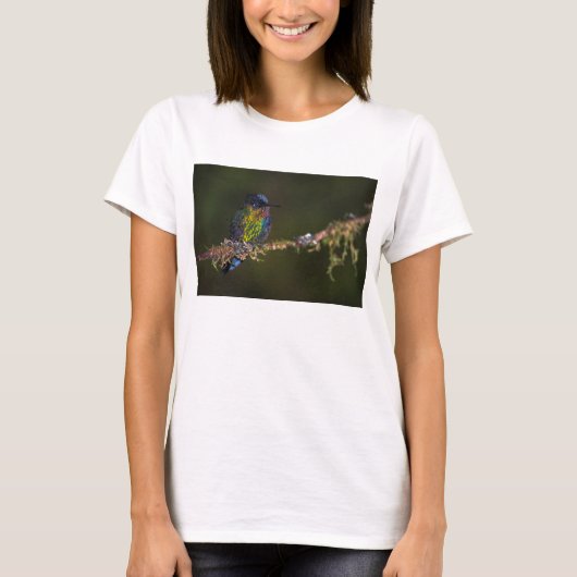 ハチドリ Tシャツ (正面)