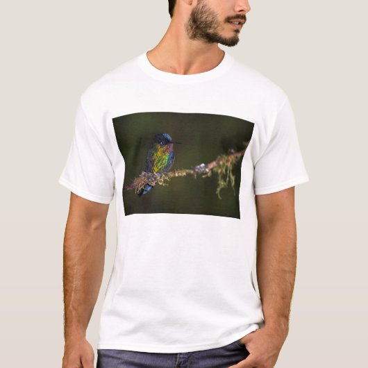 ハチドリ Tシャツ (正面)