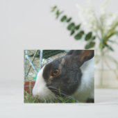 ハチバミの葉書 ポストカード (スタンド正面)