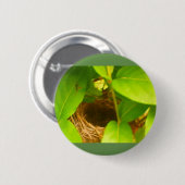 ハチバードネストがハニーサックルボタンに囲まれている 缶バッジ (正面&裏面)