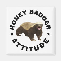 ハチミアナグマの姿勢マグネット