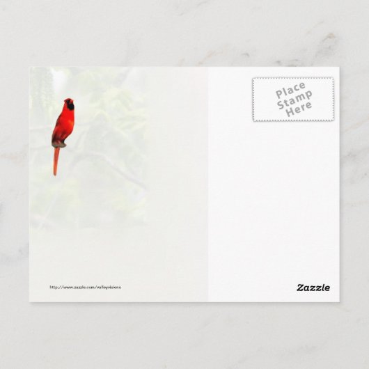 ハチミイナゴの木の（鳥）ショウジョウコウカンチョウ ポストカード (裏面)