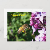 ハチミツが花粉を愛する薄紫 ポストカード (正面/裏面)