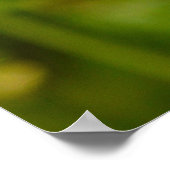 ハチミツが飛んでいる ポスター (角)