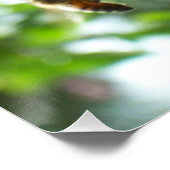 ハチミツとカニのリンゴ ポスター (コーナー)