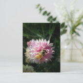 ハチミツとピンクの花 ポストカード (スタンド正面)