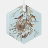 ハチミツのイナゴに生息するオードボンの果樹園オリオール ガラスオーナメント (正面)