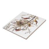 ハチミツのイナゴに生息するオードボンの果樹園オリオール タイル (側面)