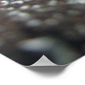 ハチミツのポートレート ポスター (角)