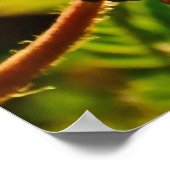 ハチミツの粉パフの花インゲルソル引用文 ポスター (角)