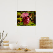 ハチミツの粉パフの花インゲルソル引用文 ポスター (キッチン)