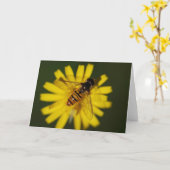 ハチミツクールビーが花に咲く自然写真 カード (黄色い花)