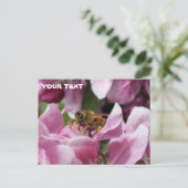 ハチミツバチが受粉するピンクのクラッアップルの木の花 ポストカード (スタンド正面)