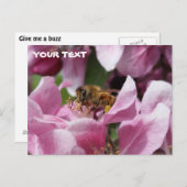 ハチミツバチが受粉するピンクのクラッアップルの木の花 ポストカード (正面/裏面)