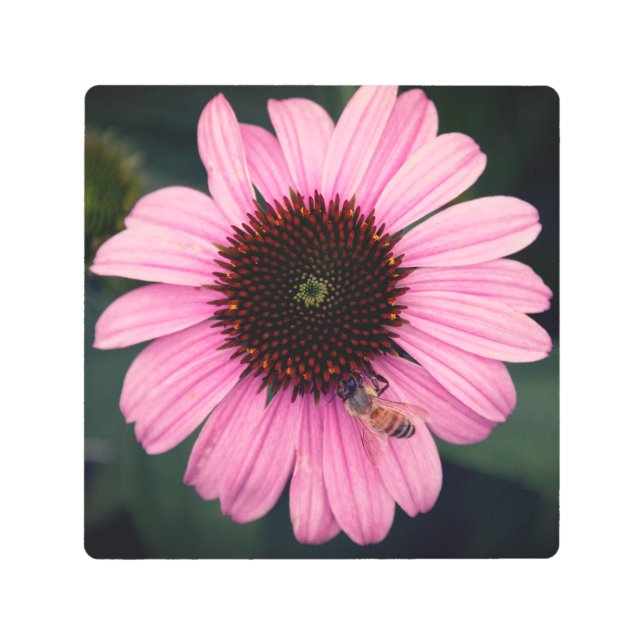 ハチミツバチオンガーデンフラワー メタルプリント (正面)