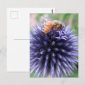 ハチミツバチオンパープルグローブアザラシの花 ポストカード (正面/裏面)