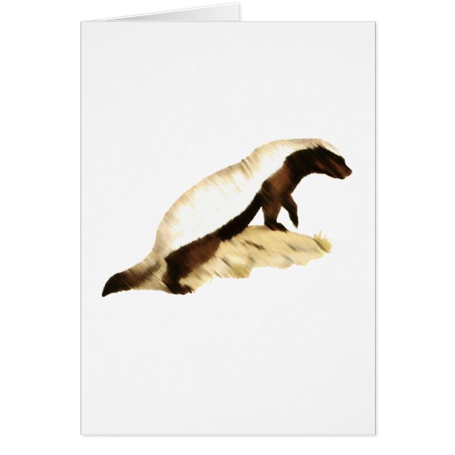 ハチミツバメ (正面)