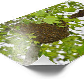 ハチミツバメ フォトプリント (角)