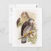 ハチミツバードジョングールドイギリスの素晴らし鳥 ポストカード (正面/裏面)