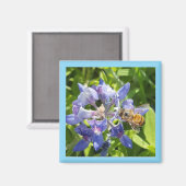 ハチミツ磁石 マグネット (正面/裏面)