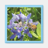 ハチミツ磁石 マグネット (正面)