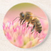 ハチミツ食べ物を与えビーのセダム花 コースター (正面)