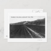 ハチンソン セレリ ガーデンの景観 ポストカード (正面/裏面)