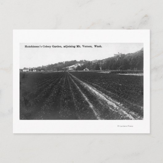 ハチンソン セレリ ガーデンの景観 ポストカード (正面)