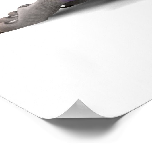 ハチーズ：クッキー&ミルク ポスター (角)