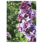 ハチ忙しは大きな骨を作る白い花 クリップボード (裏面)