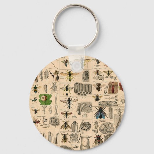 ハチ昆虫虫WASP自然史蜂 キーホルダー (正面)