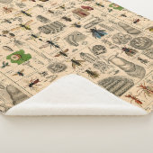 ハチ昆虫虫WASP自然史蜂 シェルパブランケット (3/4)