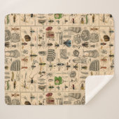 ハチ昆虫虫WASP自然史蜂 シェルパブランケット (正面(横))