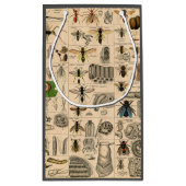 ハチ昆虫虫WASP自然史蜂 スモールペーパーバッグ (裏面)