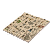 ハチ昆虫虫WASP自然史蜂 タイル (側面)