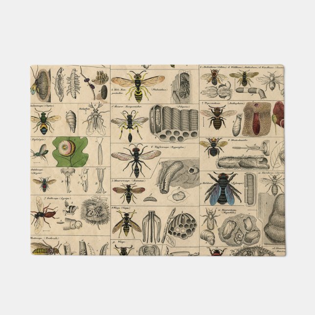 ハチ昆虫虫WASP自然史蜂 ドアマット (正面)