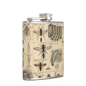 ハチ昆虫虫WASP自然史蜂 フラスク (右)