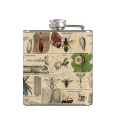 ハチ昆虫虫WASP自然史蜂 フラスク (裏面)