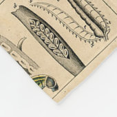 ハチ昆虫虫WASP自然史蜂 フリースブランケット (角)