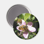 ハチ磁石 マグネット (正面/裏面)