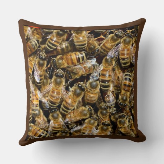 ハチ科 クッション (裏面)